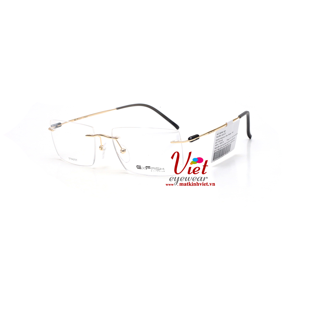 Gọng kính Exfash EF84275T 906